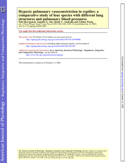 structures and pulmonary blood pressures comparative study of four