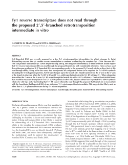 Ty1 reverse transcriptase does not read through the proposed 29,59