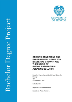 growth conditions and experimental setup for bacterial