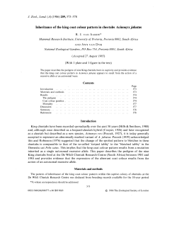 Inheritance of the king coat colour pattern in cheetahs
