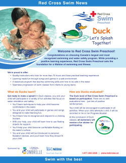 Duck - Beach Swim School