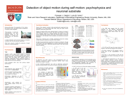 Detection of object motion during self