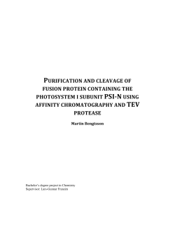 PURIFICATION AND CLEAVAGE OF FUSION PROTEIN