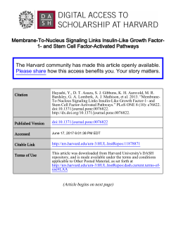 Membrane-To-Nucleus Signaling Links Insulin