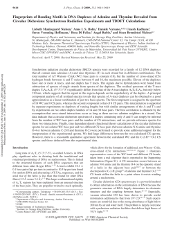Fingerprints of Bonding Motifs in DNA Duplexes of Adenine and