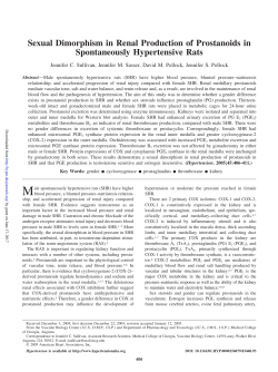 Sexual Dimorphism in Renal Production of