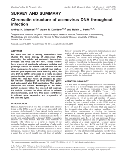 SURVEY AND SUMMARY Chromatin structure of