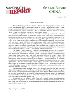 special report