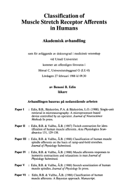 Classification of Muscle Stretch Receptor Afferents in Humans