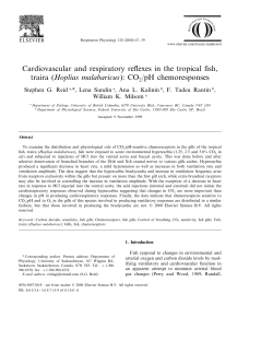Cardiovascular and respiratory reflexes in the tropical fish, traira