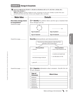 Lesson 3 Energy in Ecosystems