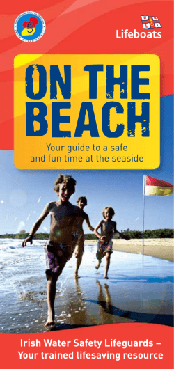 On the Beach - Irish Water Safety