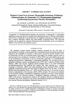 SHORT COMMUNICATION Stringent Control in an Extreme