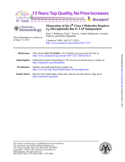 -Microglobulin But Is TAP Independent 2&beta; Class I Molecules