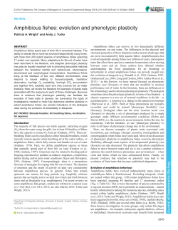 Amphibious fishes: evolution and phenotypic plasticity