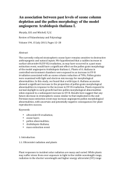 An association between past levels of ozone column