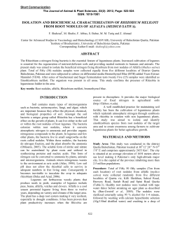 isolation and biochemical characterization of rhizobium meliloti from