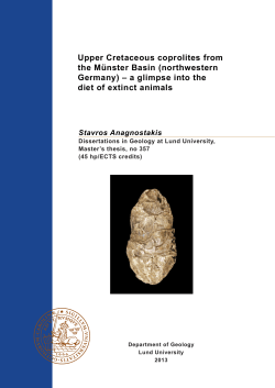 Upper Cretaceous coprolites from the M&uuml;nster Basin (northwestern