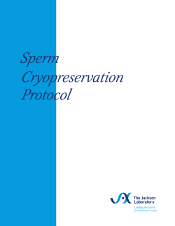 Sperm Cryopreservation Protocol
