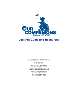 Lost Pet Guide - Our Companions