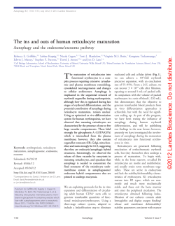 The ins and outs of human reticulocyte maturation
