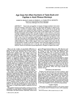 Age Does Not Affect Numbers of Taste Buds