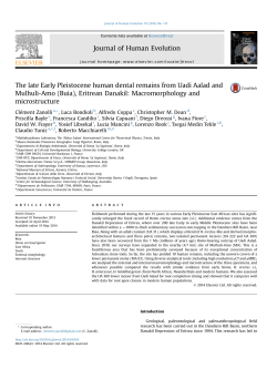 The late Early Pleistocene human dental remains from Uadi Aalad