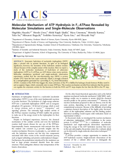 Molecular Mechanism of ATP Hydrolysis in F1