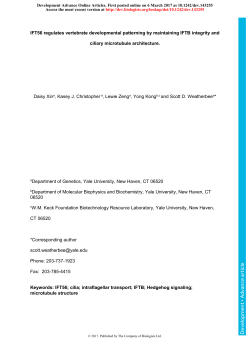 IFT56 regulates vertebrate developmental patterning by maintaining