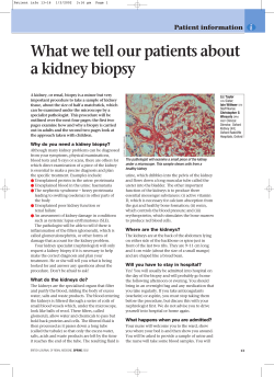 a kidney biopsy - British Journal of Renal Medicine