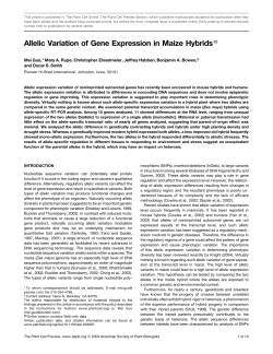 Allelic Variation of Gene Expression in Maize