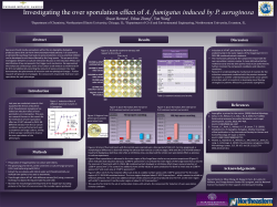 Poster - Research Experiences for Undergraduates