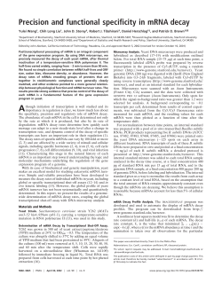 Precision and functional specificity in mRNA decay