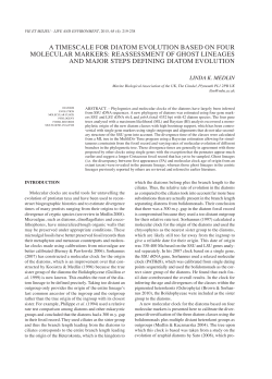 4-Medlin 654 color.indd