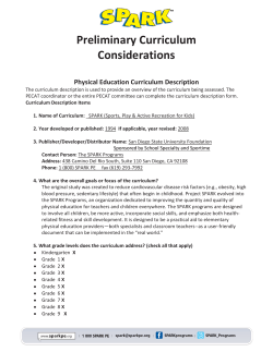 Preliminary Curriculum