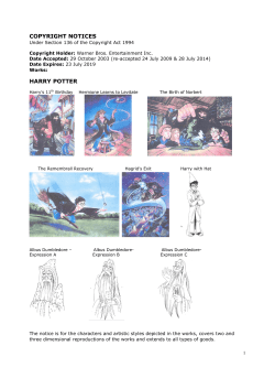 COPYRIGHT NOTICES HARRY POTTER