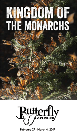 Monarch Eco-trip - Butterfly Pavilion
