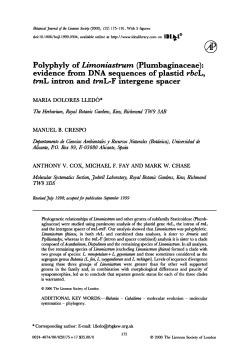 Polyphyly of Limoniastrum (Plumbaginaceae): evidence from DNA