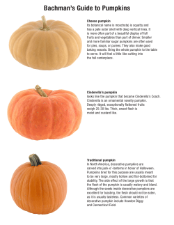 Bachman`s Guide to Pumpkins