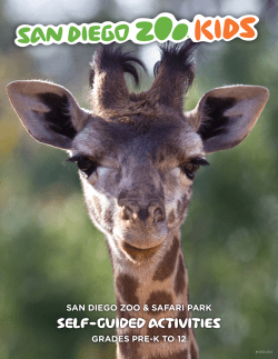 SELF-GUIDED ACTIVITies