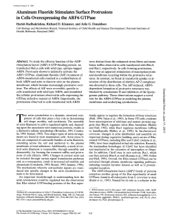 Aluminum Fluoride Stimulates Surface Protrusions in Cells