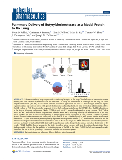 Pulmonary Delivery of Butyrylcholinesterase as a Model Protein to