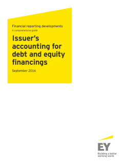 Financial Reporting Developments: Issuer`s accounting for debt