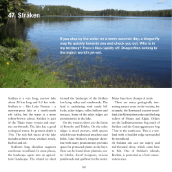 47. Str&aring;ken
