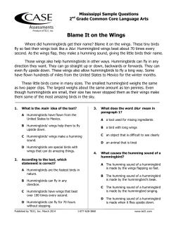 Blame It on the Wings
