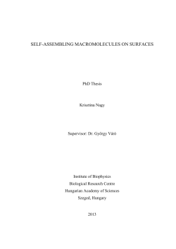 self-assembling macromolecules on surfaces