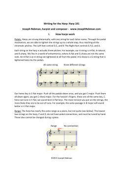 Harp 101 - Squarespace