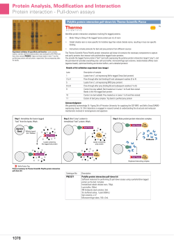 Protein Analysis, Modification and Interaction Protein interaction