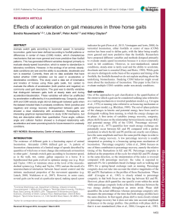 Effects of acceleration on gait measures in three horse gaits