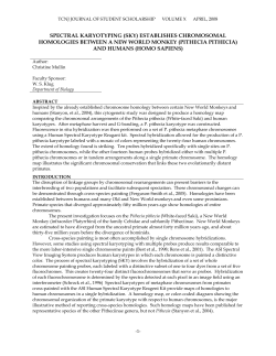 Spectral Karyotyping (SKY) establishes chromosomal homologies